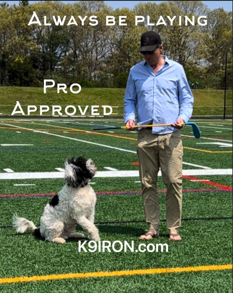 K9IRON